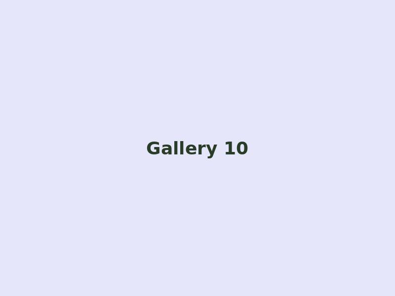 Gallery 10