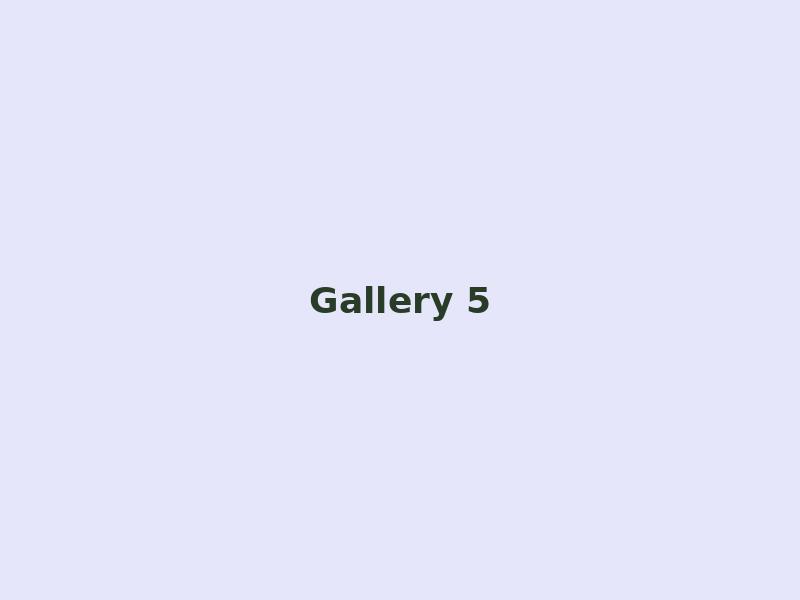 Gallery 5