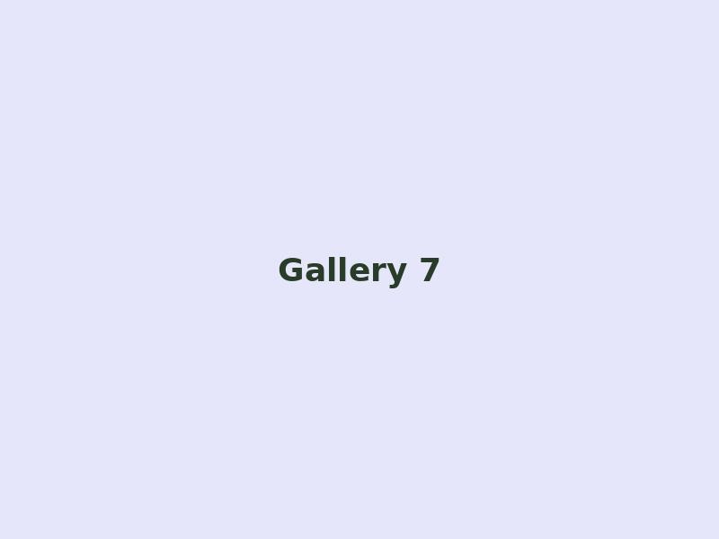 Gallery 7
