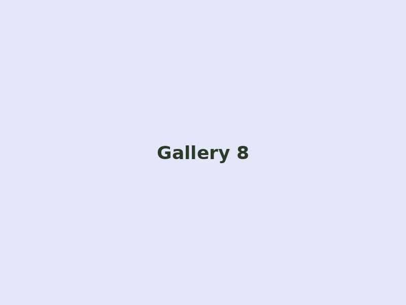 Gallery 8